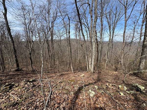 2.59 Acres of Land for Sale in Sand Gap, Arkansas