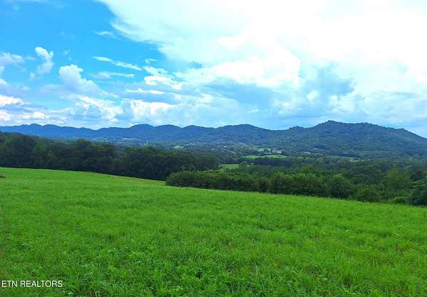 45.5 Acres of Land for Sale in Rogersville, Tennessee