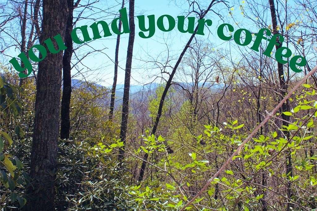 1.14 Acres of Residential Land for Sale in Franklin, North Carolina