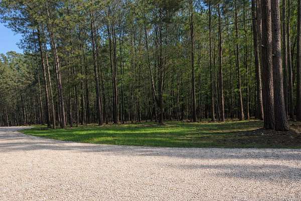 5.3 Acres of Residential Land for Sale in Livingston, Louisiana