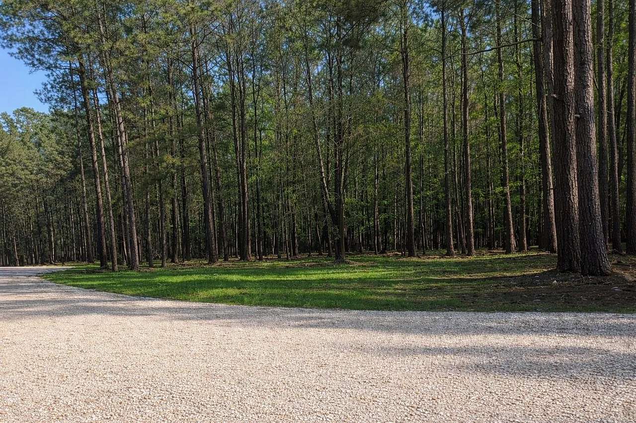 9 Acres of Residential Land for Sale in Livingston, Louisiana