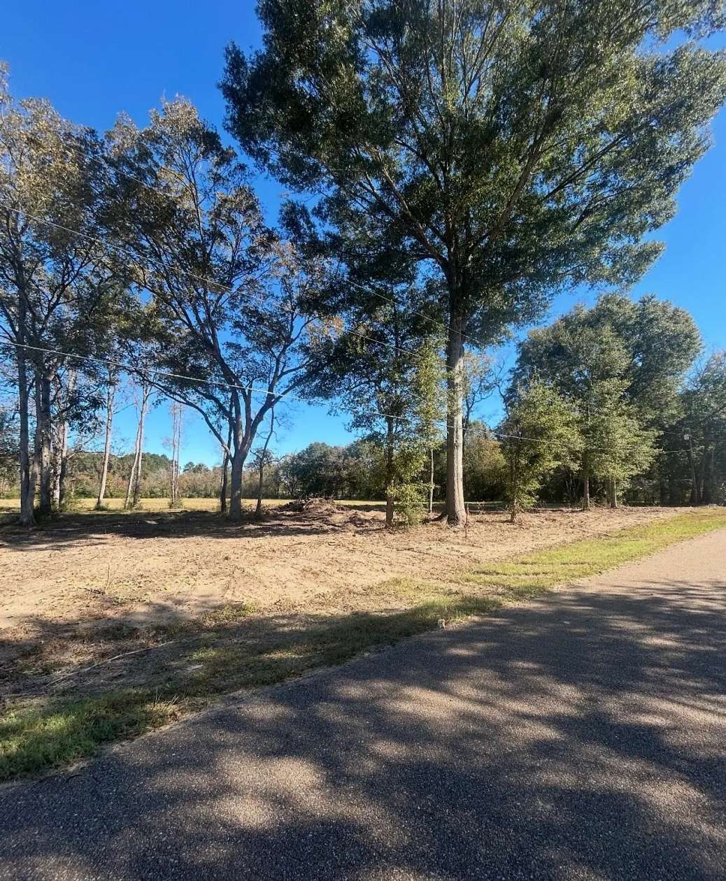 2 Acres of Land for Sale in Independence, Louisiana