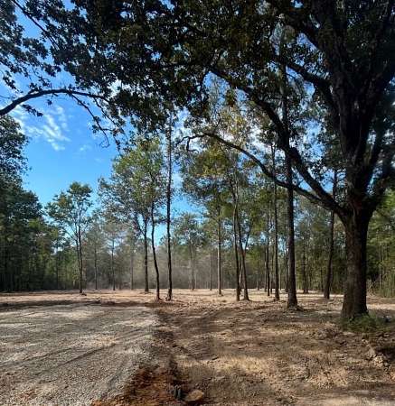 2.1 Acres of Land for Sale in Independence, Louisiana