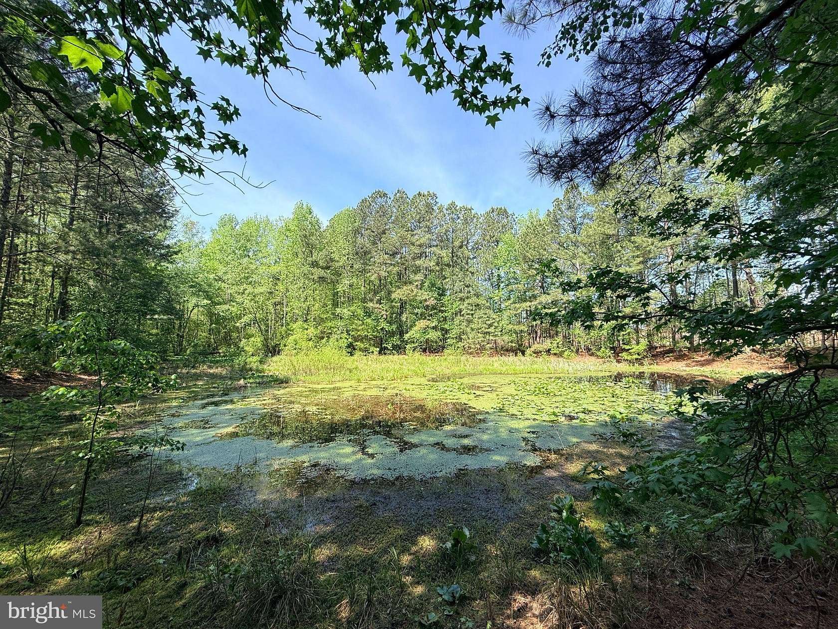 7 Acres of Residential Land for Sale in Lawrenceville, Virginia