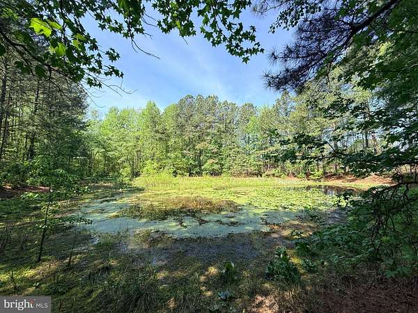 7 Acres of Residential Land for Sale in Lawrenceville, Virginia