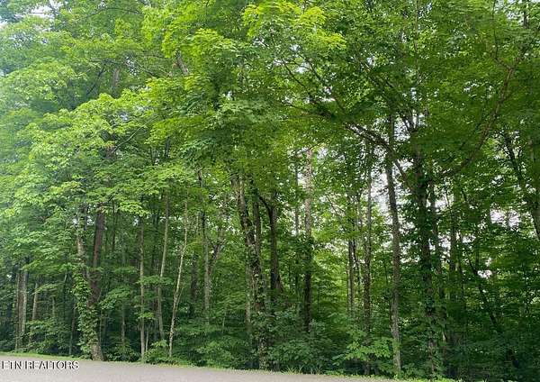 0.65 Acres of Residential Land for Sale in Caryville, Tennessee