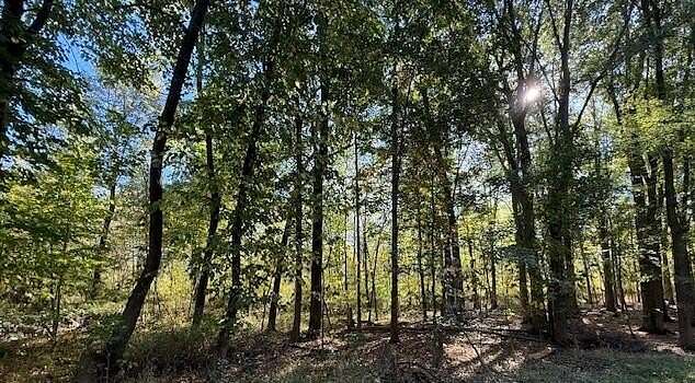 10.9 Acres of Land for Sale in Plainwell, Michigan