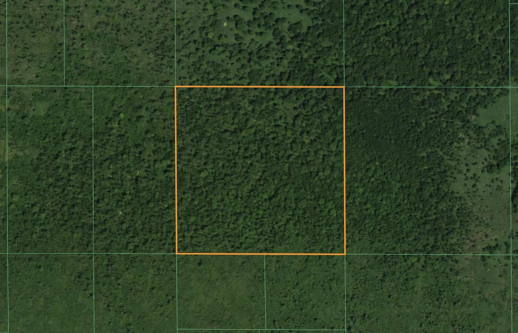40 Acres of Recreational Land for Sale in Pine River, Wisconsin
