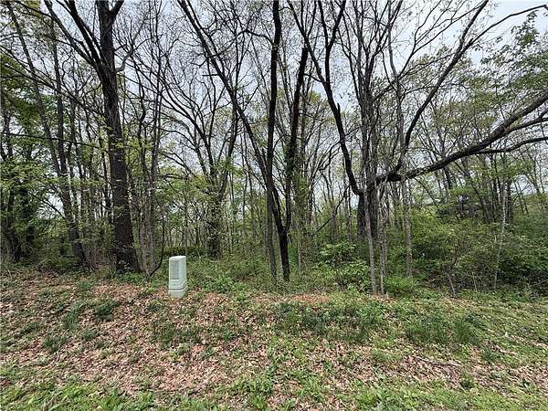 0.32 Acres of Residential Land for Sale in Bella Vista, Arkansas