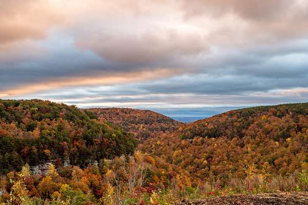 5 Acres of Residential Land for Sale in Soddy-Daisy, Tennessee