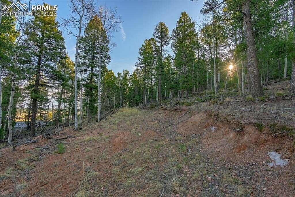 0.69 Acres of Land for Sale in Divide, Colorado