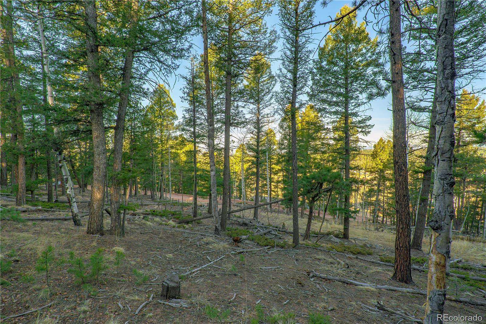 0.69 Acres of Residential Land for Sale in Divide, Colorado