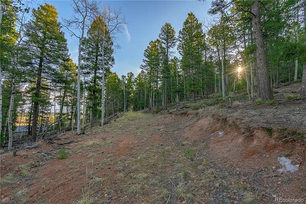 0.69 Acres of Residential Land for Sale in Divide, Colorado