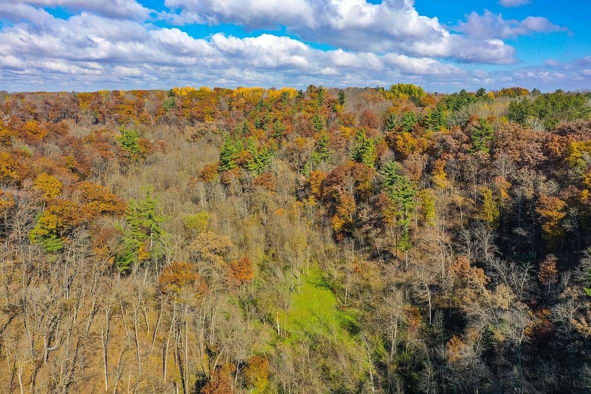 69 Acres of Land for Sale in Plum City, Wisconsin