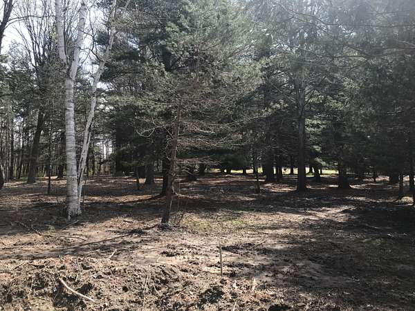 1.22 Acres of Land for Sale in South Haven, Michigan