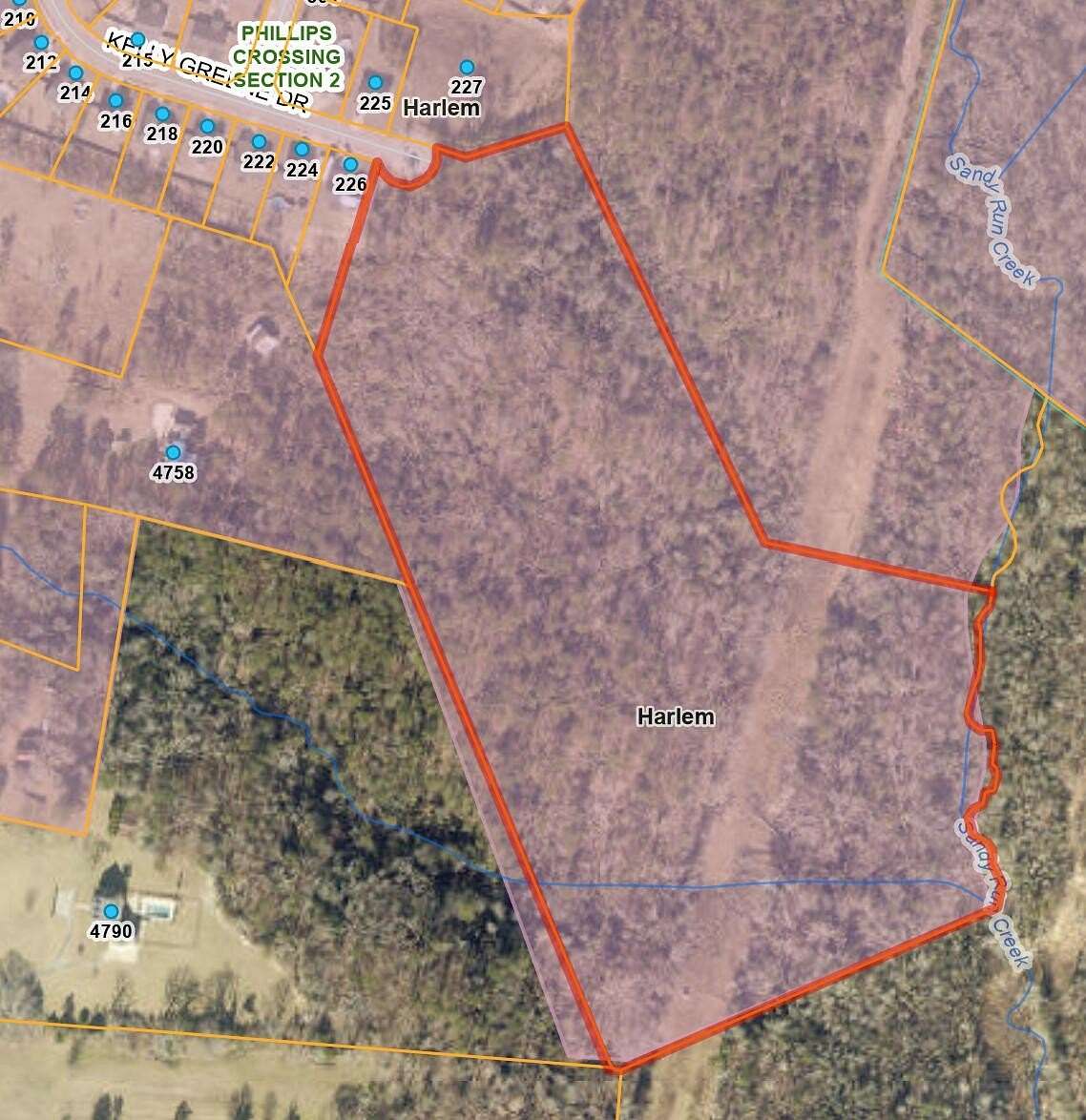 21.1 Acres of Land for Sale in Harlem, Georgia