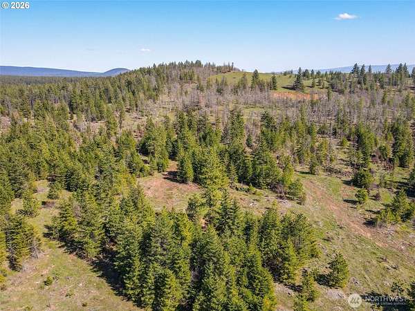80 Acres of Land for Sale in Goldendale, Washington