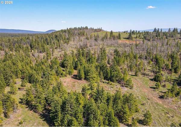 80 Acres of Land for Sale in Goldendale, Washington