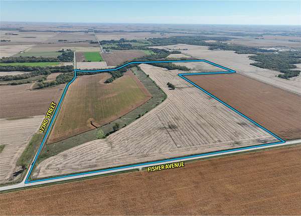 221 Acres of Land for Sale in Webster City, Iowa