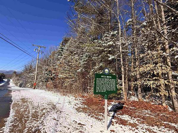 28 Acres of Recreational & Residential Land for Sale in Milan, New Hampshire