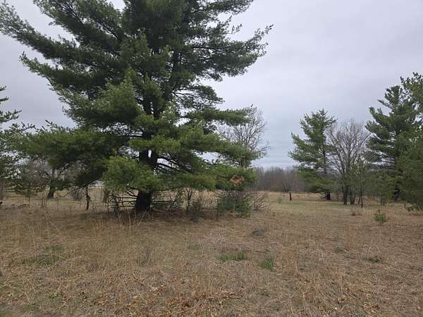 4.68 Acres of Land for Sale in Hancock, Wisconsin