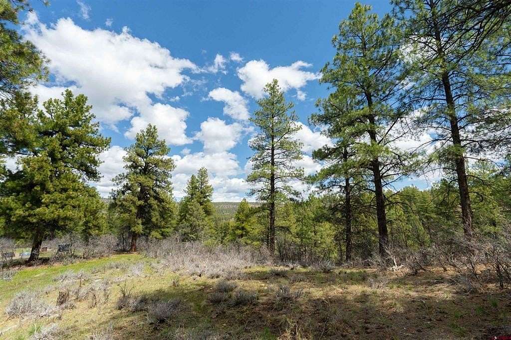 1.1 Acres of Residential Land for Sale in Pagosa Springs, Colorado