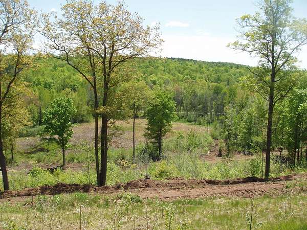3.1 Acres of Residential Land for Sale in Mellen, Wisconsin