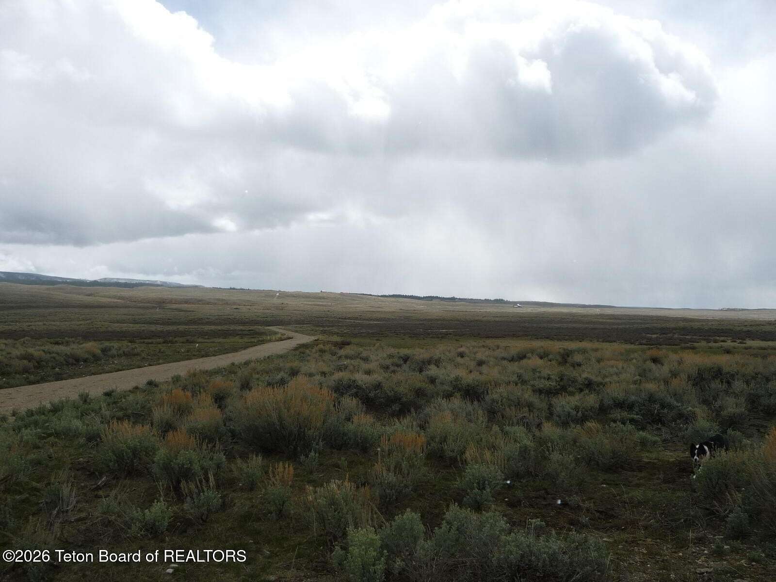 36 Acres of Recreational Land for Sale in Cora, Wyoming