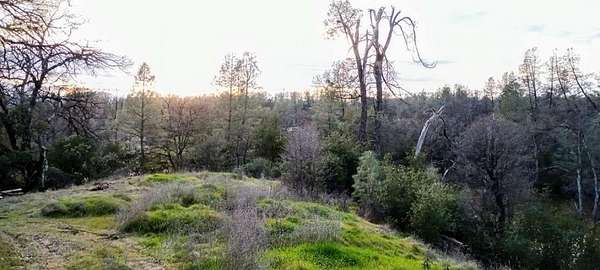 3.5 Acres of Residential Land for Sale in Cottonwood, California