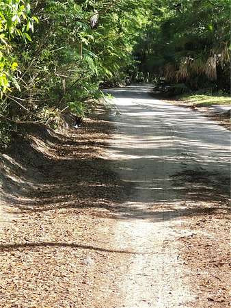 1.25 Acres of Residential Land for Sale in Dunnellon, Florida