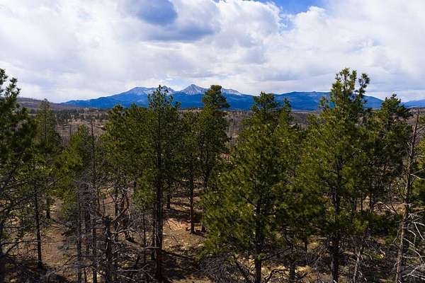 2.2 Acres of Land for Sale in Fort Garland, Colorado