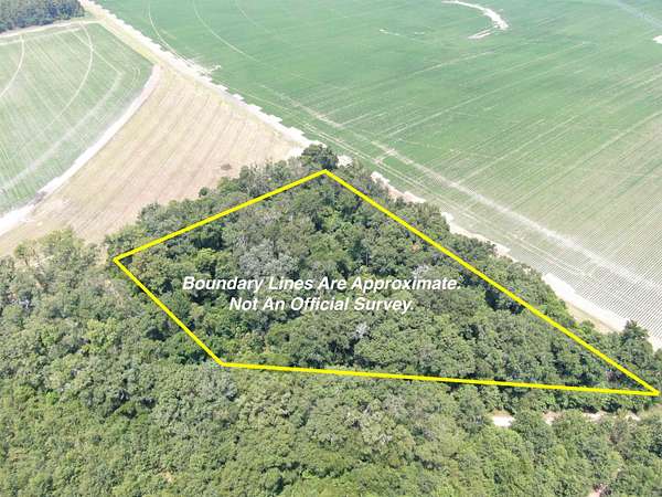 3 Acres of Residential Land for Sale in Lee, Florida