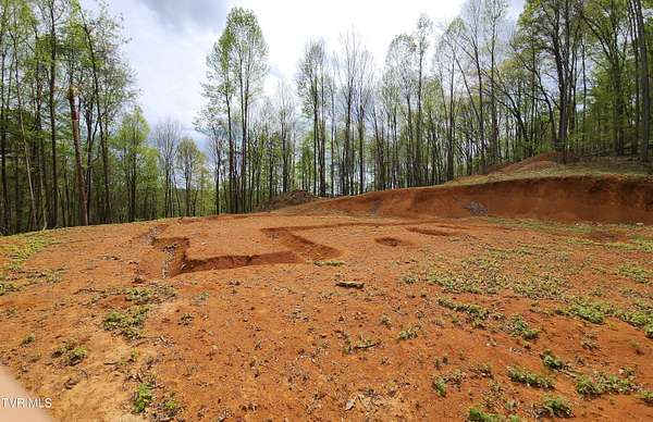 4 Acres of Residential Land for Sale in Blountville, Tennessee