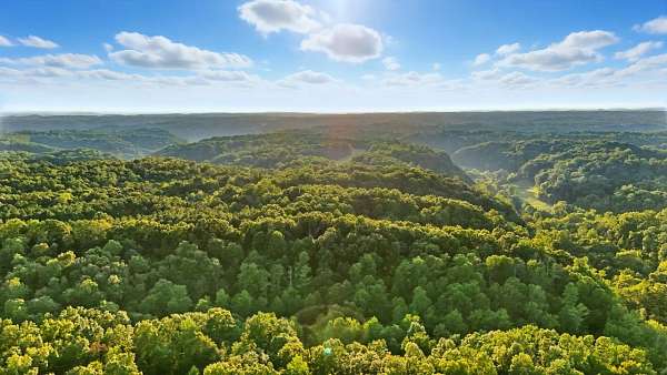 152 Acres of Recreational & Residential Land for Sale in Manchester, Tennessee