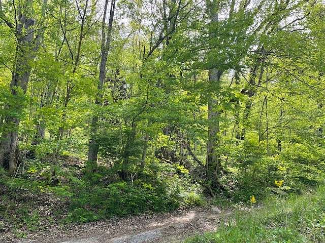 0.32 Acres of Residential Land for Sale in Smithville, Tennessee