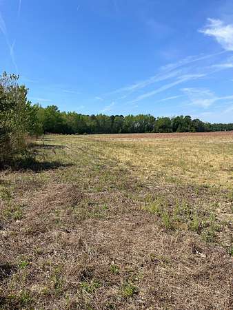 5 Acres of Residential Land for Sale in Dillon, South Carolina