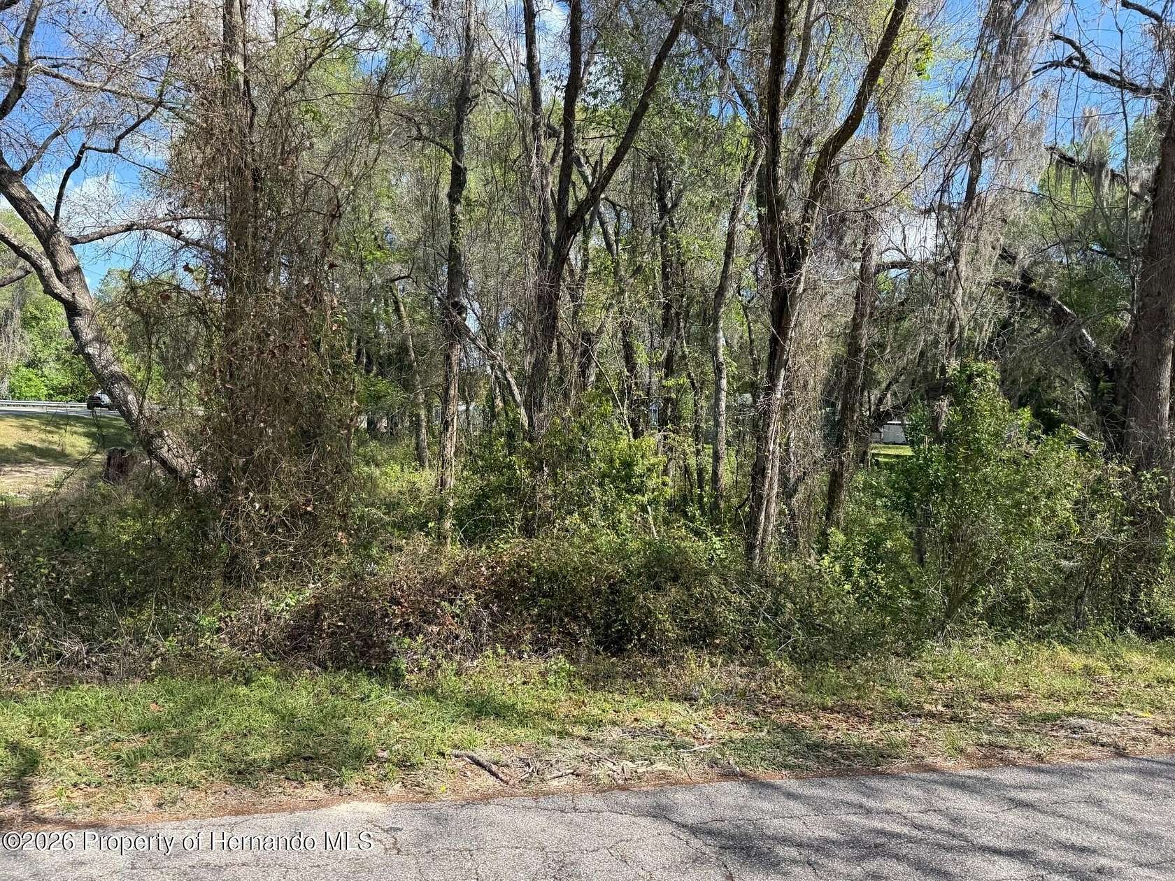 0.78 Acres of Land for Sale in Floral City, Florida