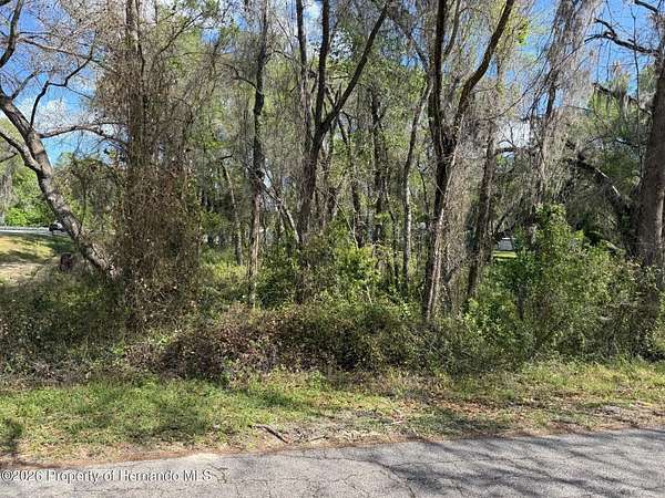 0.78 Acres of Land for Sale in Floral City, Florida