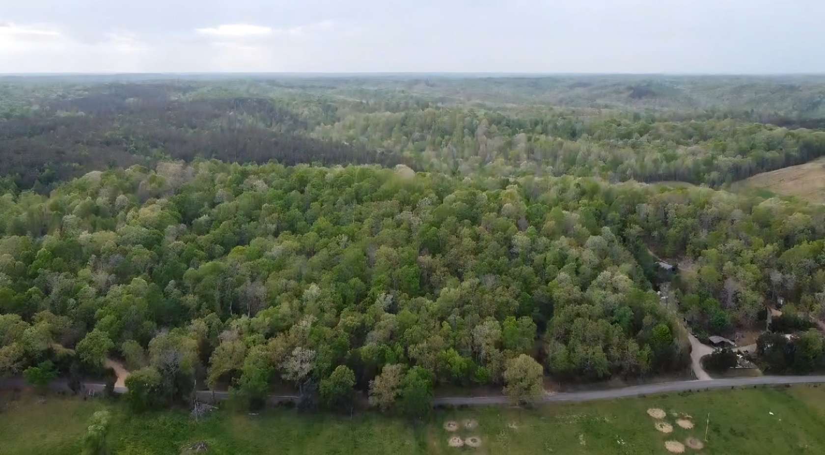 5 Acres of Land for Sale in Lobelville, Tennessee