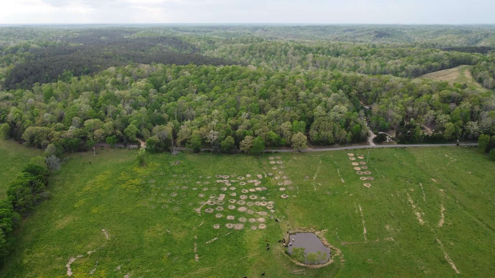 5 Acres of Land for Sale in Lobelville, Tennessee