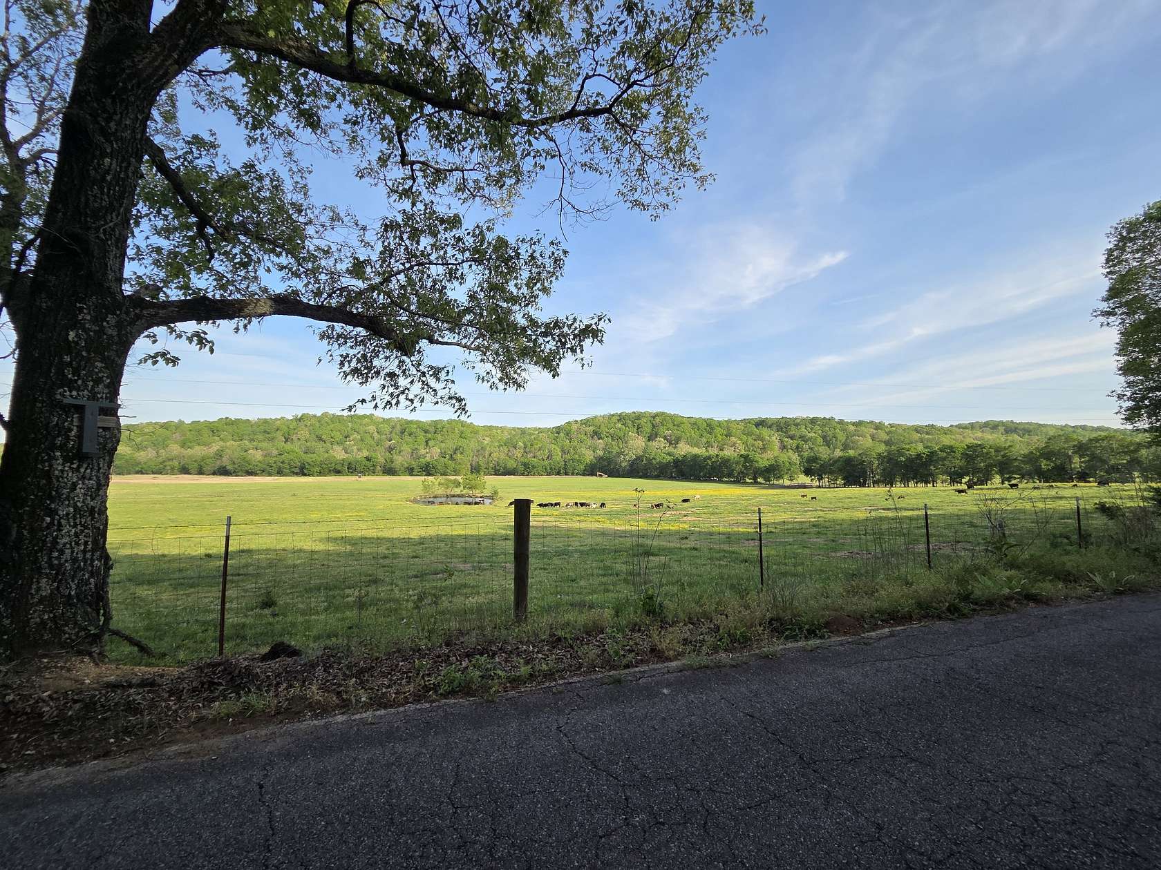 5 Acres of Land for Sale in Lobelville, Tennessee