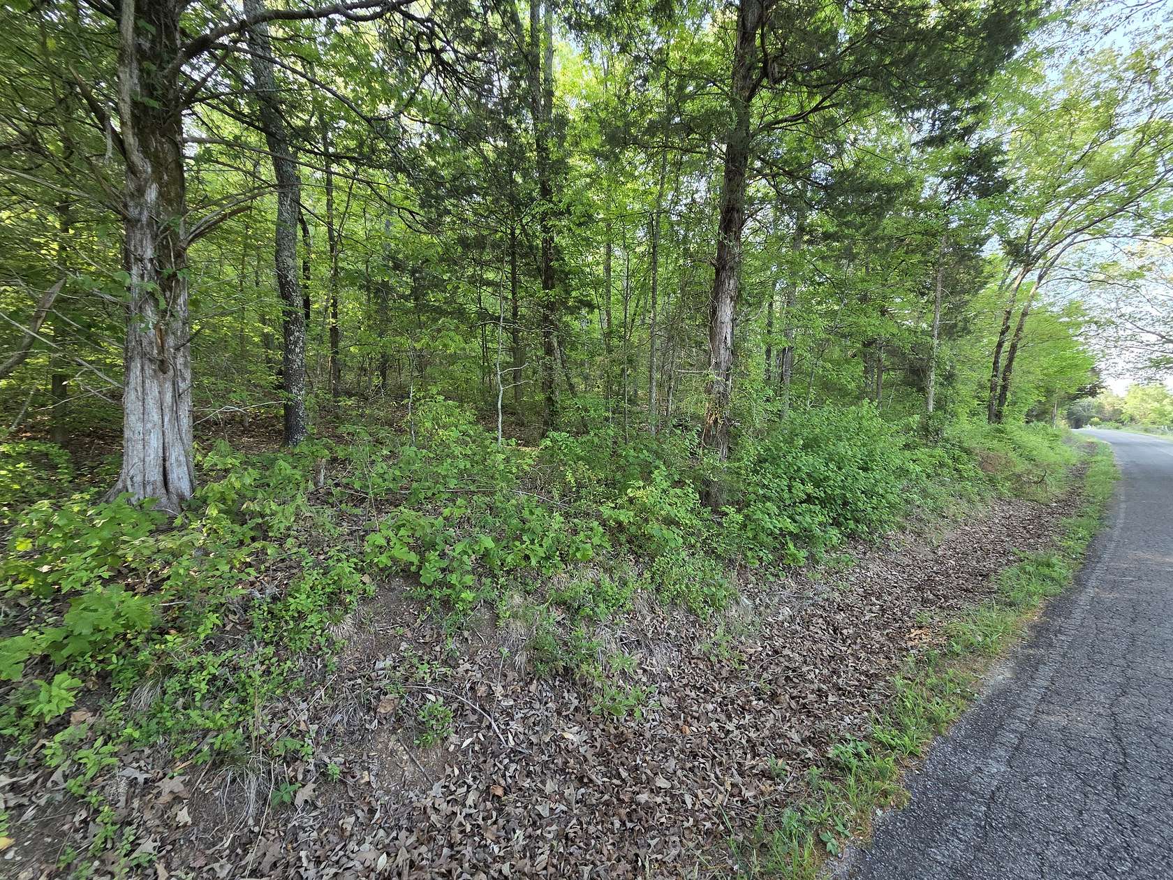 5 Acres of Land for Sale in Lobelville, Tennessee