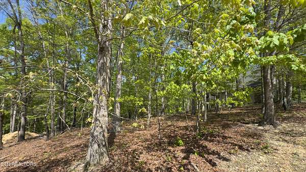 0.51 Acres of Residential Land for Sale in Loudon, Tennessee