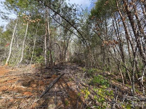 1.88 Acres of Residential Land for Sale in Old Fort, North Carolina