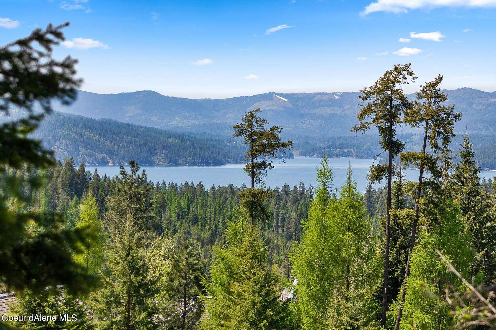 1 Acre of Residential Land for Sale in Harrison, Idaho