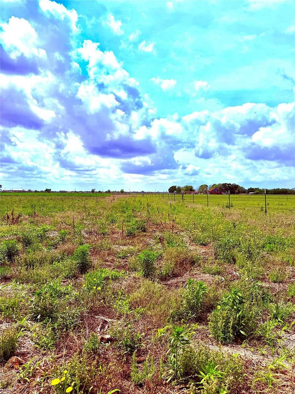 11.7 Acres of Land for Sale in Orchard, Texas