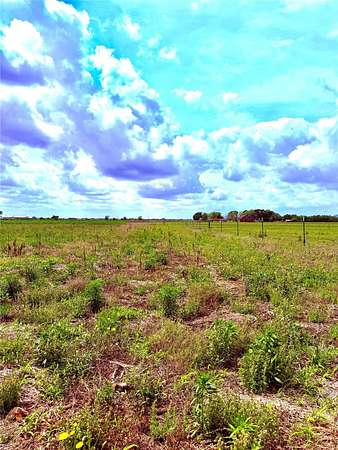 11.7 Acres of Land for Sale in Orchard, Texas