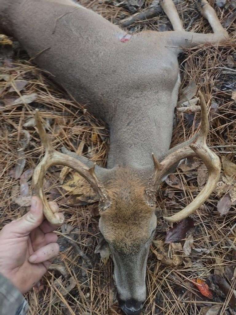 30 Acres of Recreational Land for Sale in Batesville, Mississippi