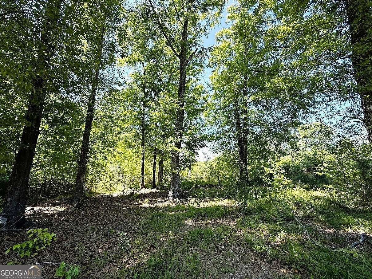 12 Acres of Land for Sale in Elberton, Georgia