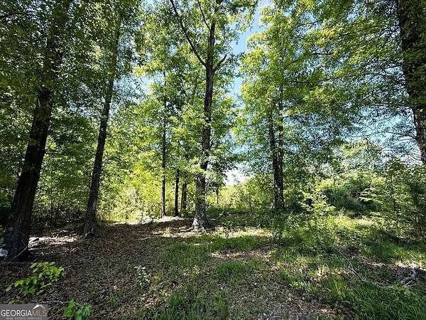 12 Acres of Land for Sale in Elberton, Georgia